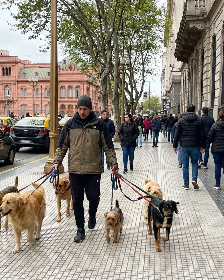 Paseador profesional con perros en una vereda de Buenos Aires